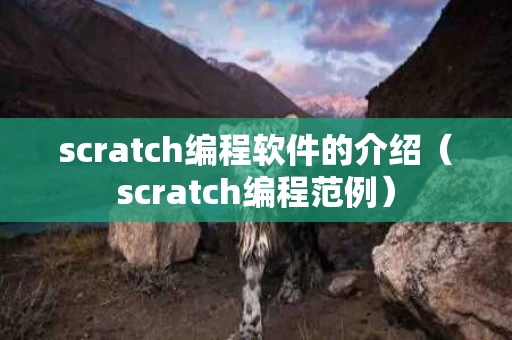 scratch编程软件的介绍（scratch编程范例）