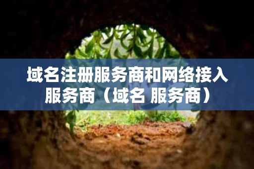 域名注册服务商和网络接入服务商（域名 服务商）