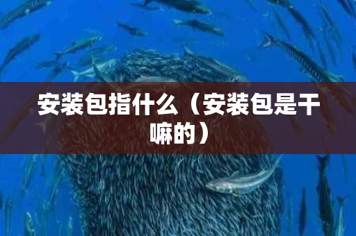 安装包指什么（安装包是干嘛的）