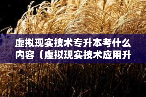 虚拟现实技术专升本考什么内容（虚拟现实技术应用升本）