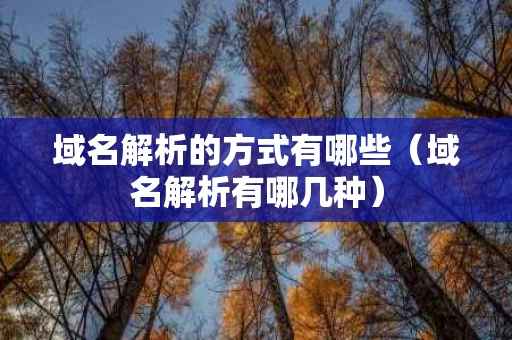 域名解析的方式有哪些（域名解析有哪几种）