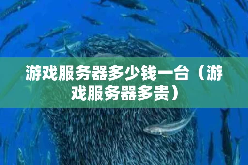 游戏服务器多少钱一台（游戏服务器多贵）