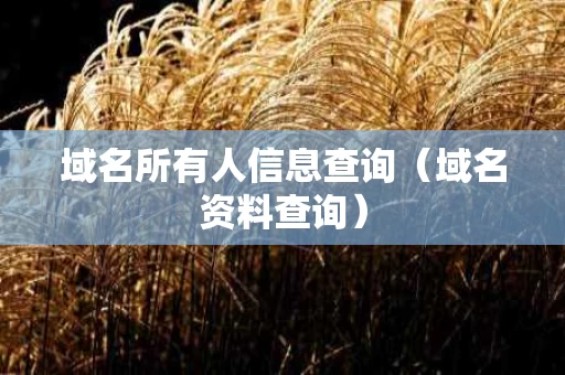 域名所有人信息查询（域名资料查询）