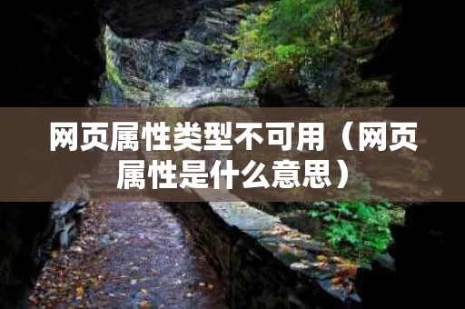 网页属性类型不可用（网页属性是什么意思）