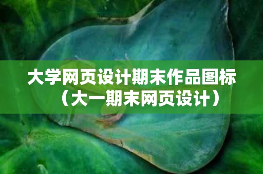 大学网页设计期末作品图标（大一期末网页设计）