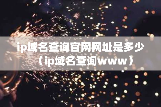 ip域名查询官网网址是多少（ip域名查询www）