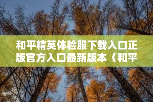 和平精英体验服下载入口正版官方入口最新版本（和平精英体验服下载官方网站）