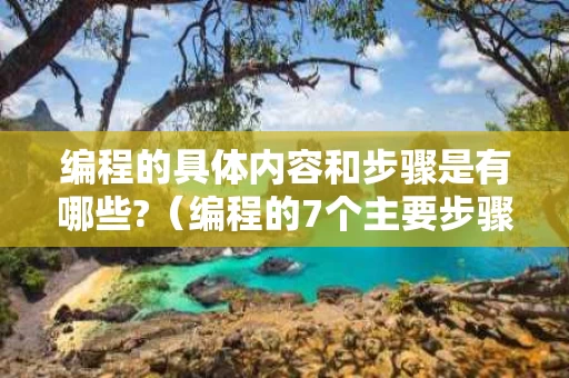编程的具体内容和步骤是有哪些?（编程的7个主要步骤）