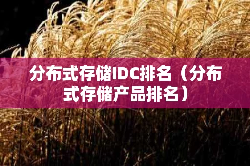 分布式存储IDC排名（分布式存储产品排名）