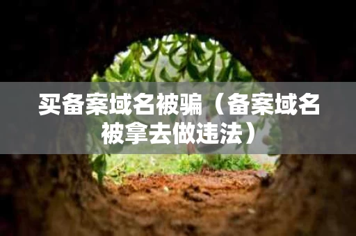 买备案域名被骗（备案域名被拿去做违法）