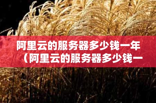 阿里云的服务器多少钱一年（阿里云的服务器多少钱一年对于100人的企业）