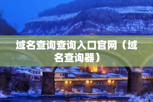 域名查询查询入口官网（域名查询器）