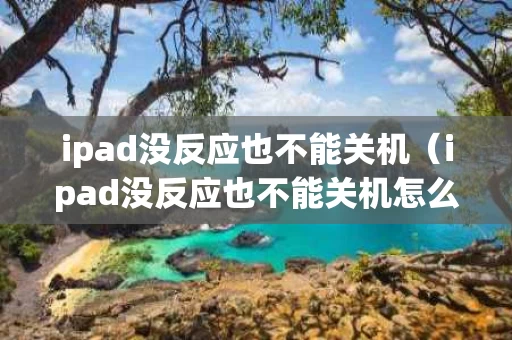 ipad没反应也不能关机（ipad没反应也不能关机怎么办呀）
