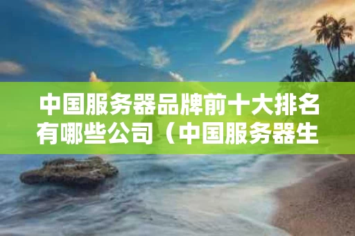 中国服务器品牌前十大排名有哪些公司（中国服务器生产厂家排名）