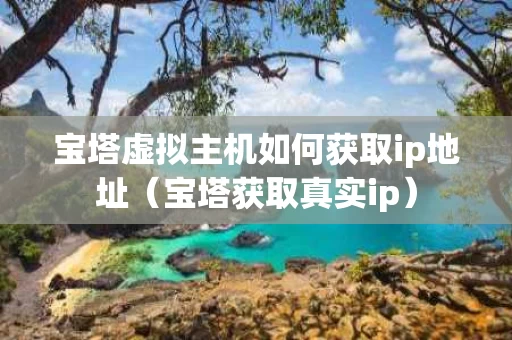 宝塔虚拟主机如何获取ip地址（宝塔获取真实ip）