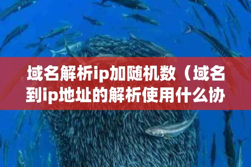 域名解析ip加随机数（域名到ip地址的解析使用什么协议）