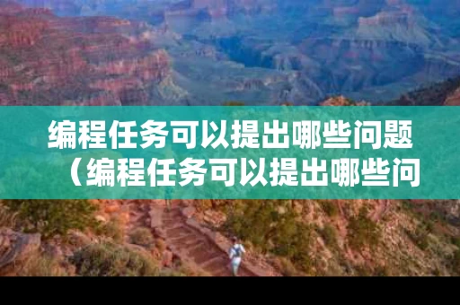 编程任务可以提出哪些问题（编程任务可以提出哪些问题和答案）