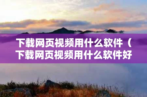 下载网页视频用什么软件（下载网页视频用什么软件好）