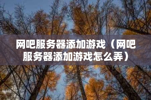 网吧服务器添加游戏（网吧服务器添加游戏怎么弄）