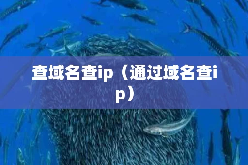 查域名查ip（通过域名查ip）