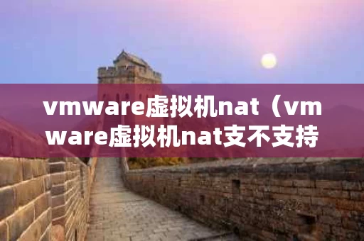 vmware虚拟机nat（vmware虚拟机nat支不支持多播）