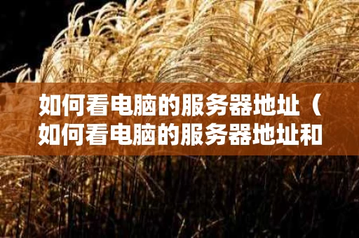 如何看电脑的服务器地址（如何看电脑的服务器地址和端口）