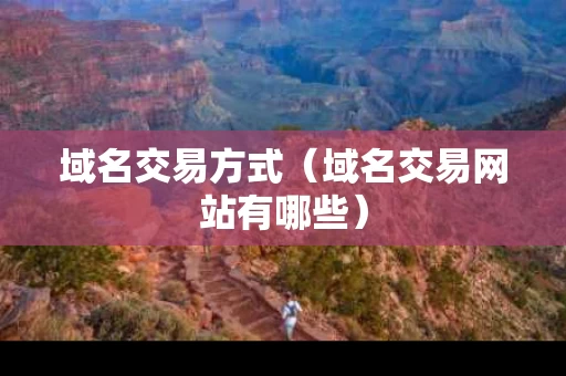域名交易方式（域名交易网站有哪些）