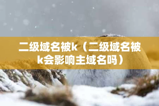 二级域名被k（二级域名被k会影响主域名吗）