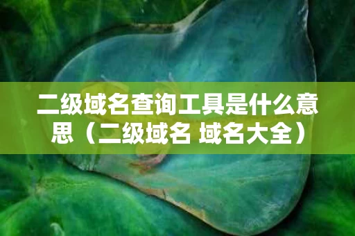二级域名查询工具是什么意思（二级域名 域名大全）
