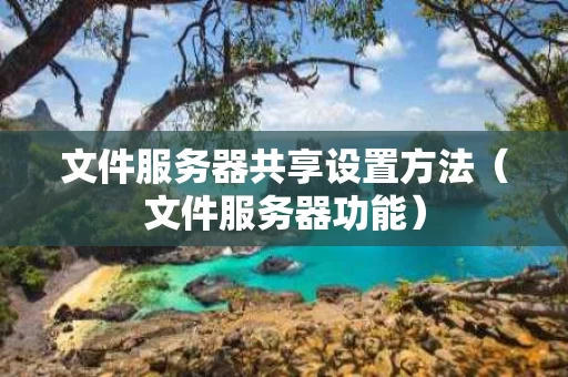 文件服务器共享设置方法（文件服务器功能）