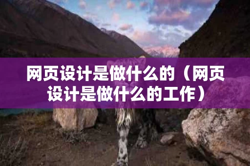 网页设计是做什么的（网页设计是做什么的工作）