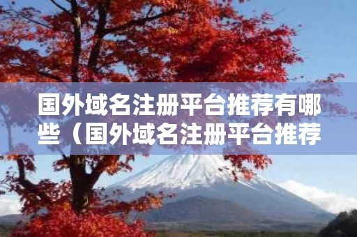 国外域名注册平台推荐有哪些（国外域名注册平台推荐有哪些软件）