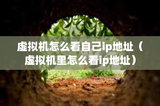 虚拟机怎么看自己ip地址（虚拟机里怎么看ip地址）
