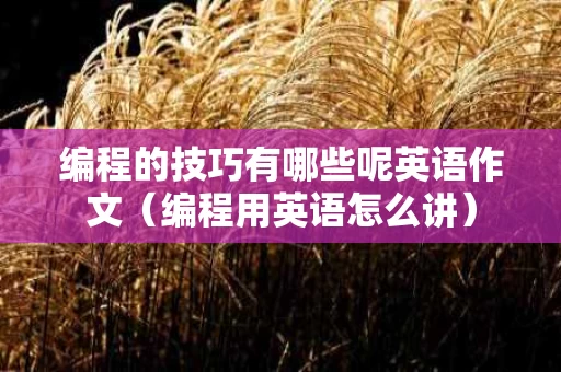 编程的技巧有哪些呢英语作文（编程用英语怎么讲）