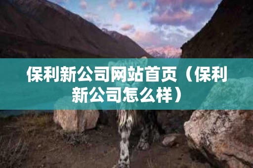 保利新公司网站首页（保利新公司怎么样）