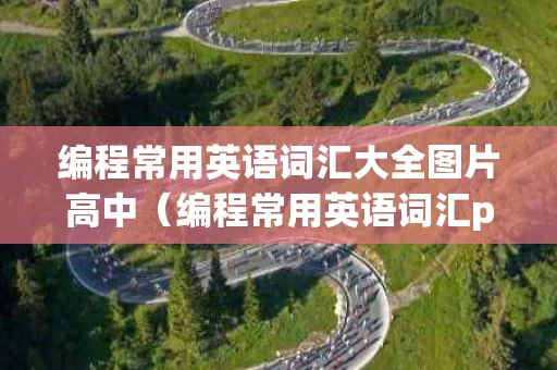编程常用英语词汇大全图片高中（编程常用英语词汇pdf）