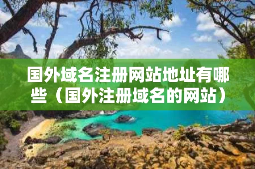 国外域名注册网站地址有哪些（国外注册域名的网站）