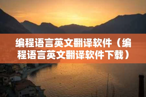 编程语言英文翻译软件（编程语言英文翻译软件下载）