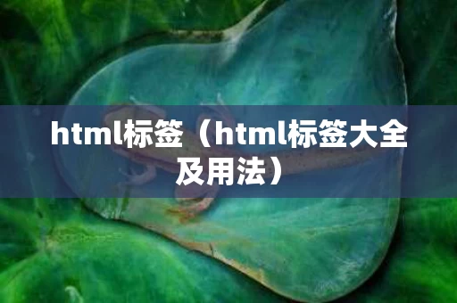 html标签（html标签大全及用法）