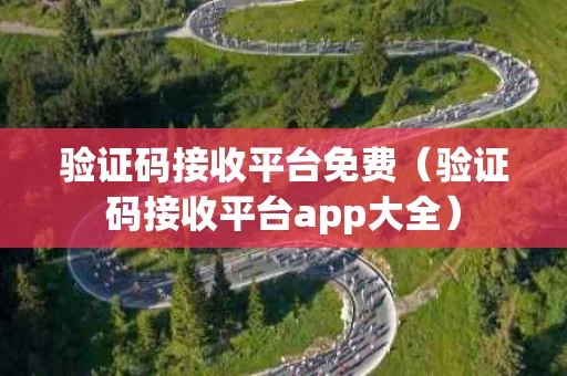 验证码接收平台免费（验证码接收平台app大全）