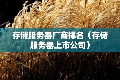 存储服务器厂商排名（存储服务器上市公司）