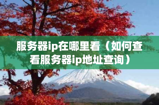 服务器ip在哪里看（如何查看服务器ip地址查询）