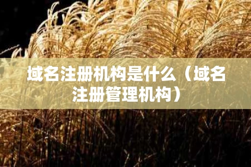 域名注册机构是什么（域名注册管理机构）