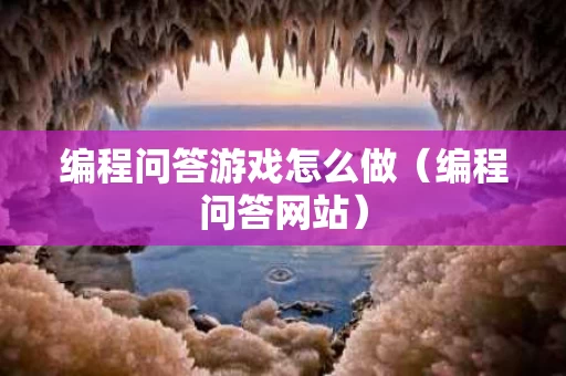 编程问答游戏怎么做（编程问答网站）