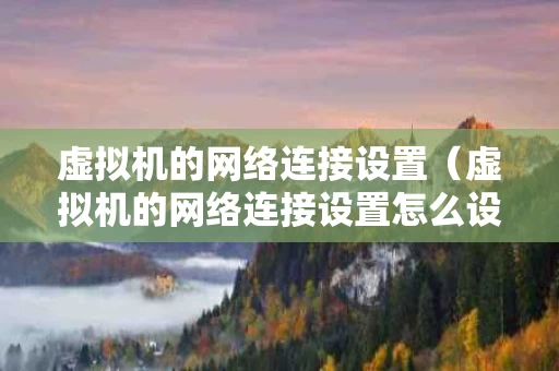 虚拟机的网络连接设置（虚拟机的网络连接设置怎么设置）