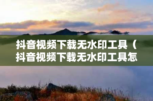 抖音视频下载无水印工具（抖音视频下载无水印工具怎么下载）