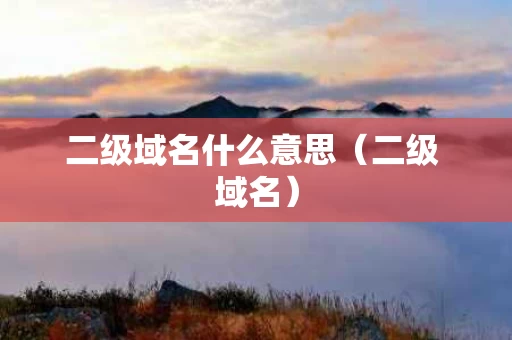 二级域名什么意思（二级 域名）