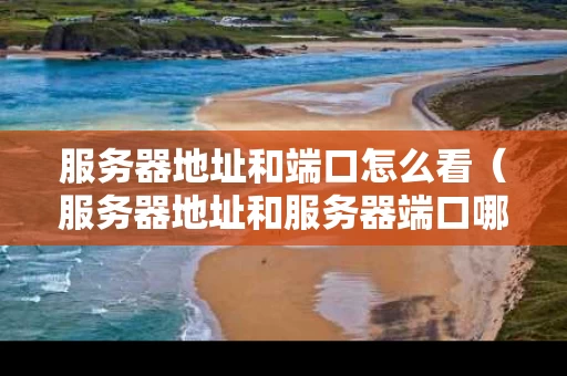 服务器地址和端口怎么看（服务器地址和服务器端口哪里查）