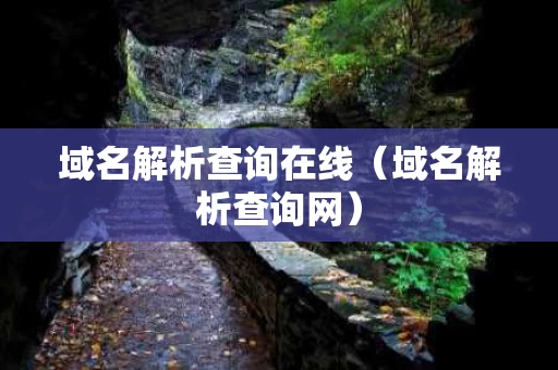 域名解析查询在线（域名解析查询网）