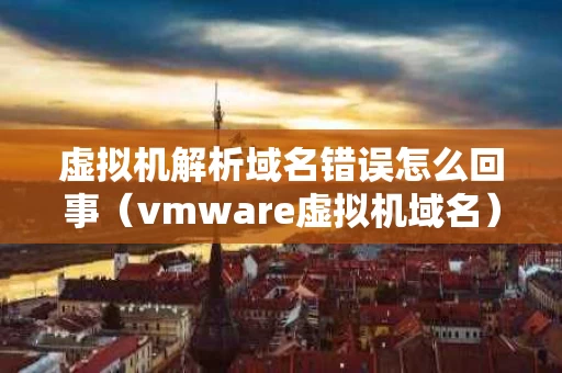 虚拟机解析域名错误怎么回事（vmware虚拟机域名）